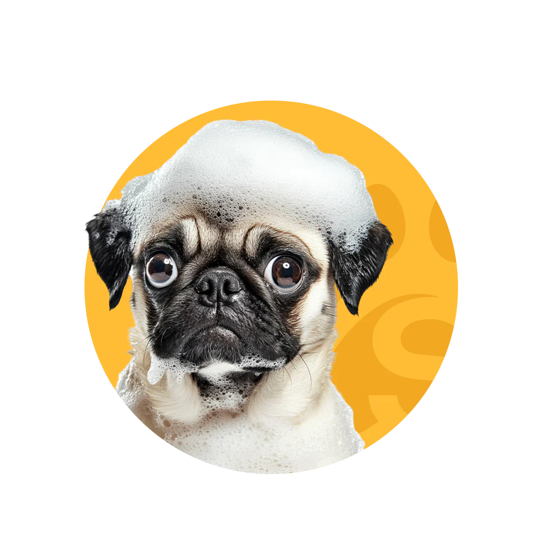 For Dogs