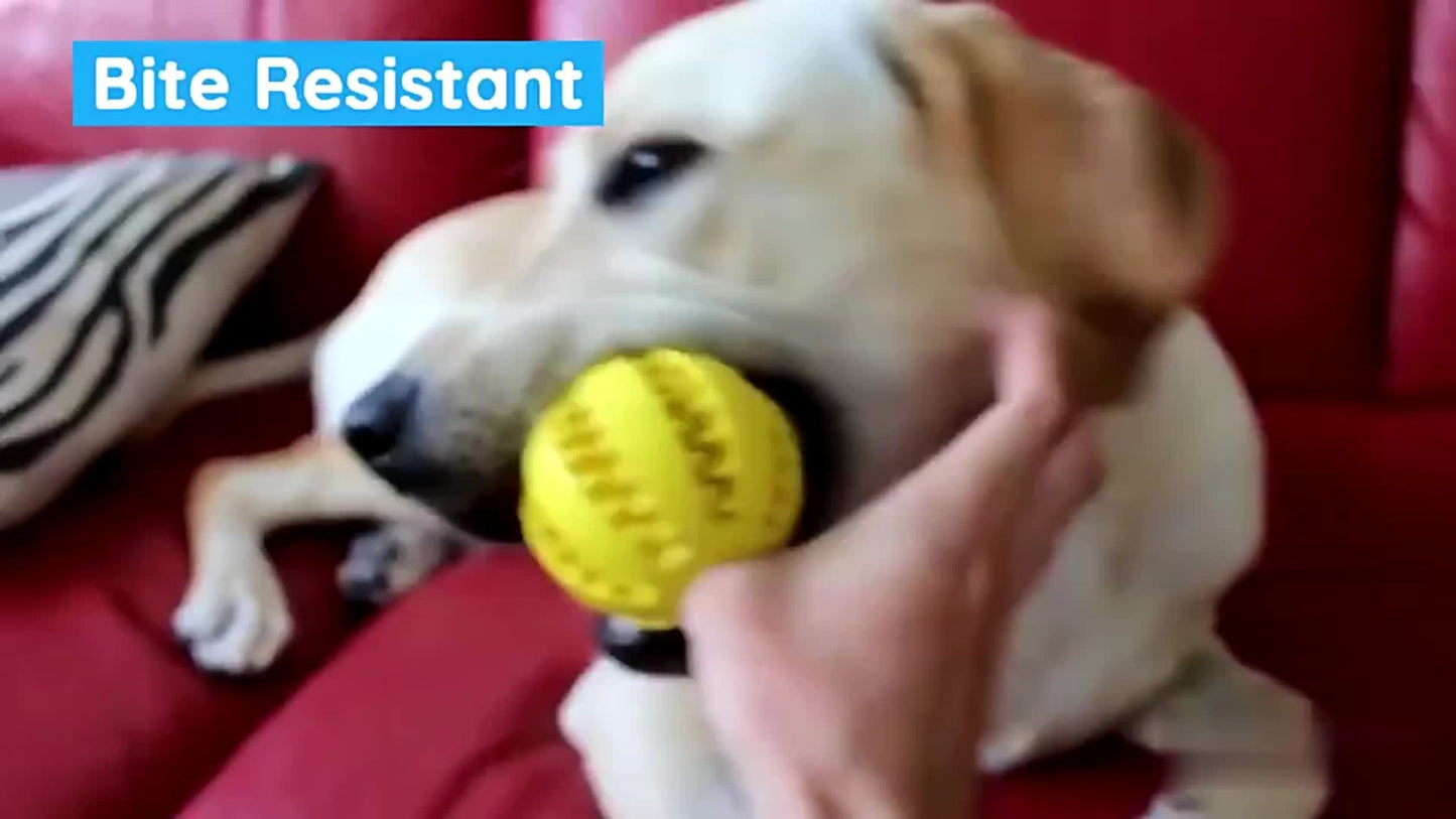 Dog Ball Toys For Small Dogs Interactive Elasticity Puppy Chew Toy Tooth Cleaning