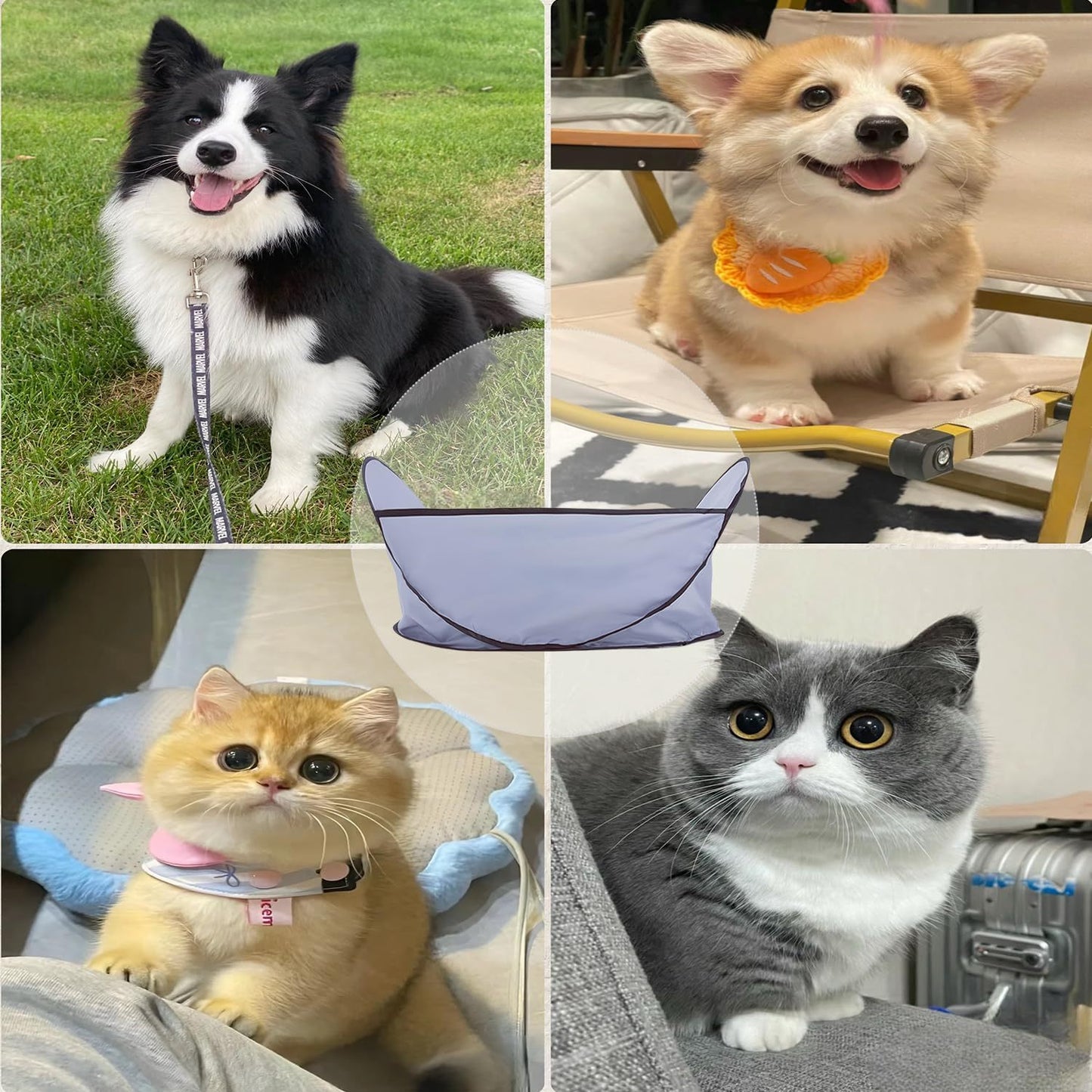 No-Mess Pet Grooming Cape – Trim & Catch Fur Easily!